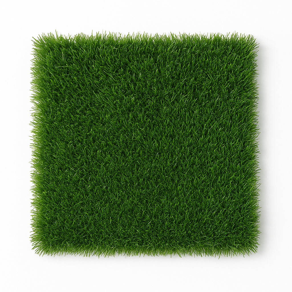 MSD-ACC-GRASS-005