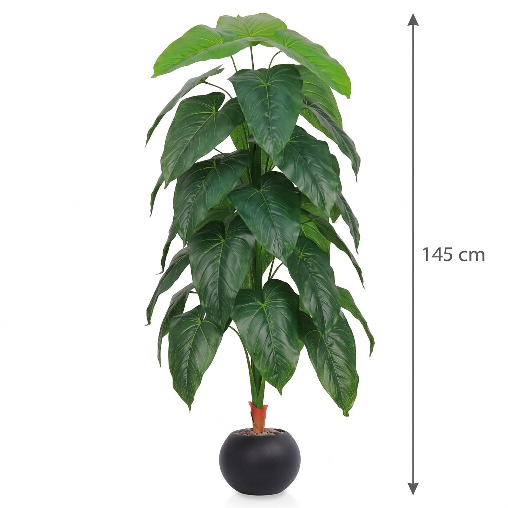 MSD-PLANT-3419-2-528-4-BLACK