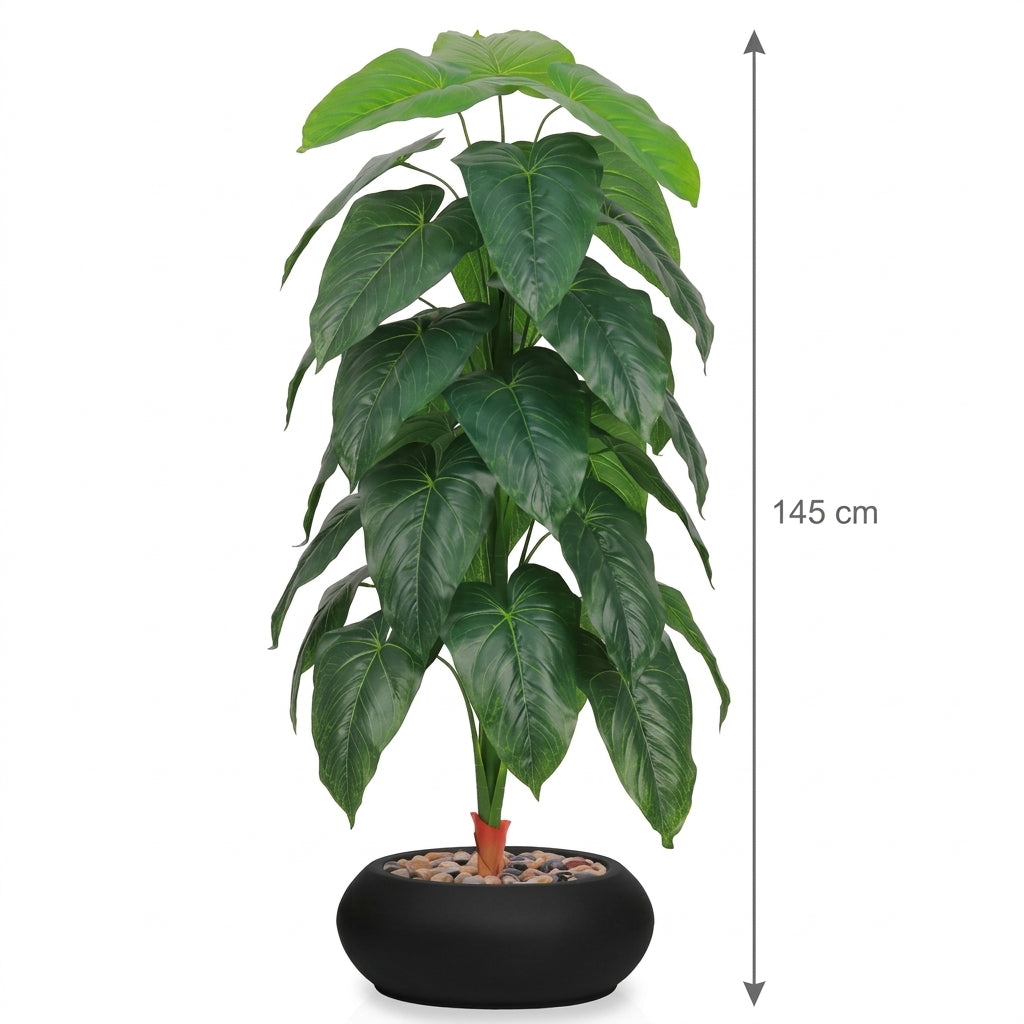 MSD-PLANT-3419-2-571-BLACK