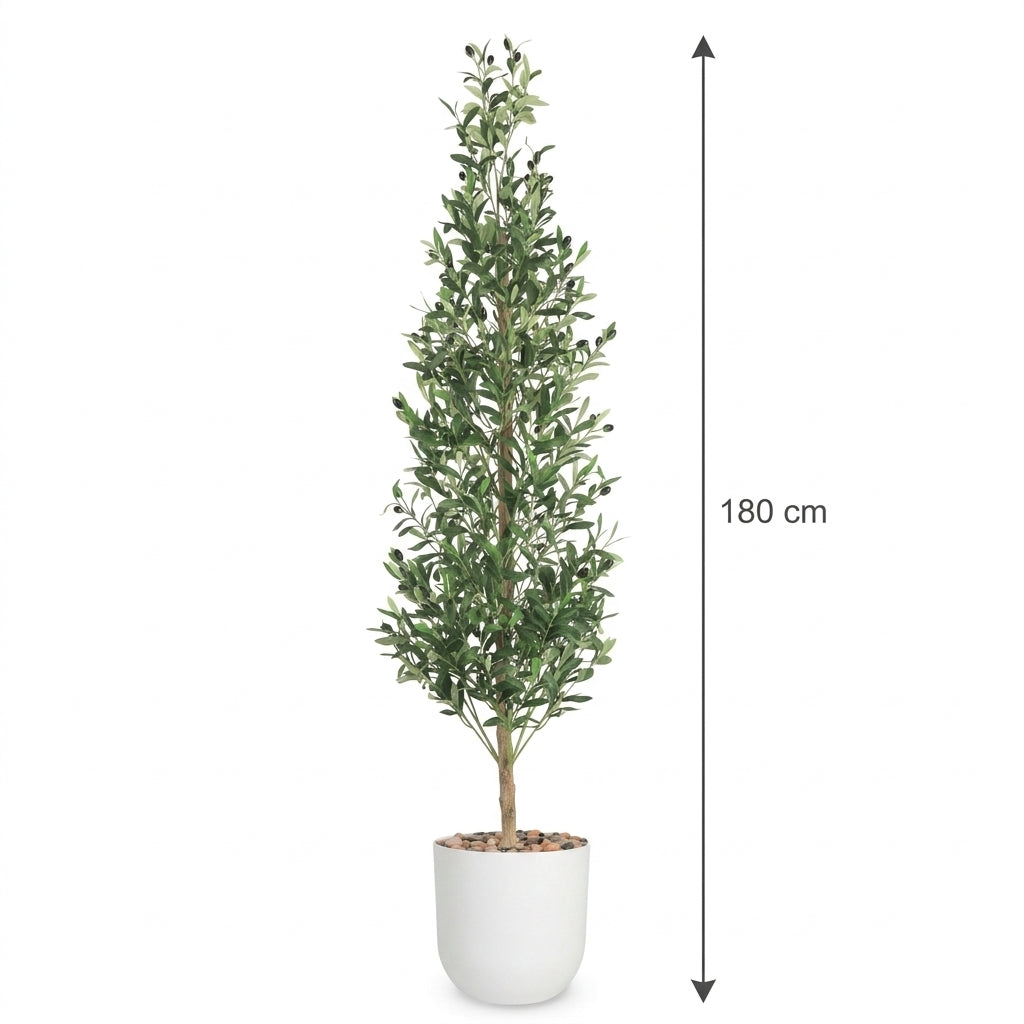 MSD-PLANT-706-170-1178-WHITE