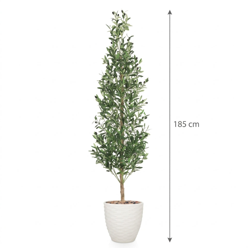 MSD-PLANT-706-170-1196-WHITE