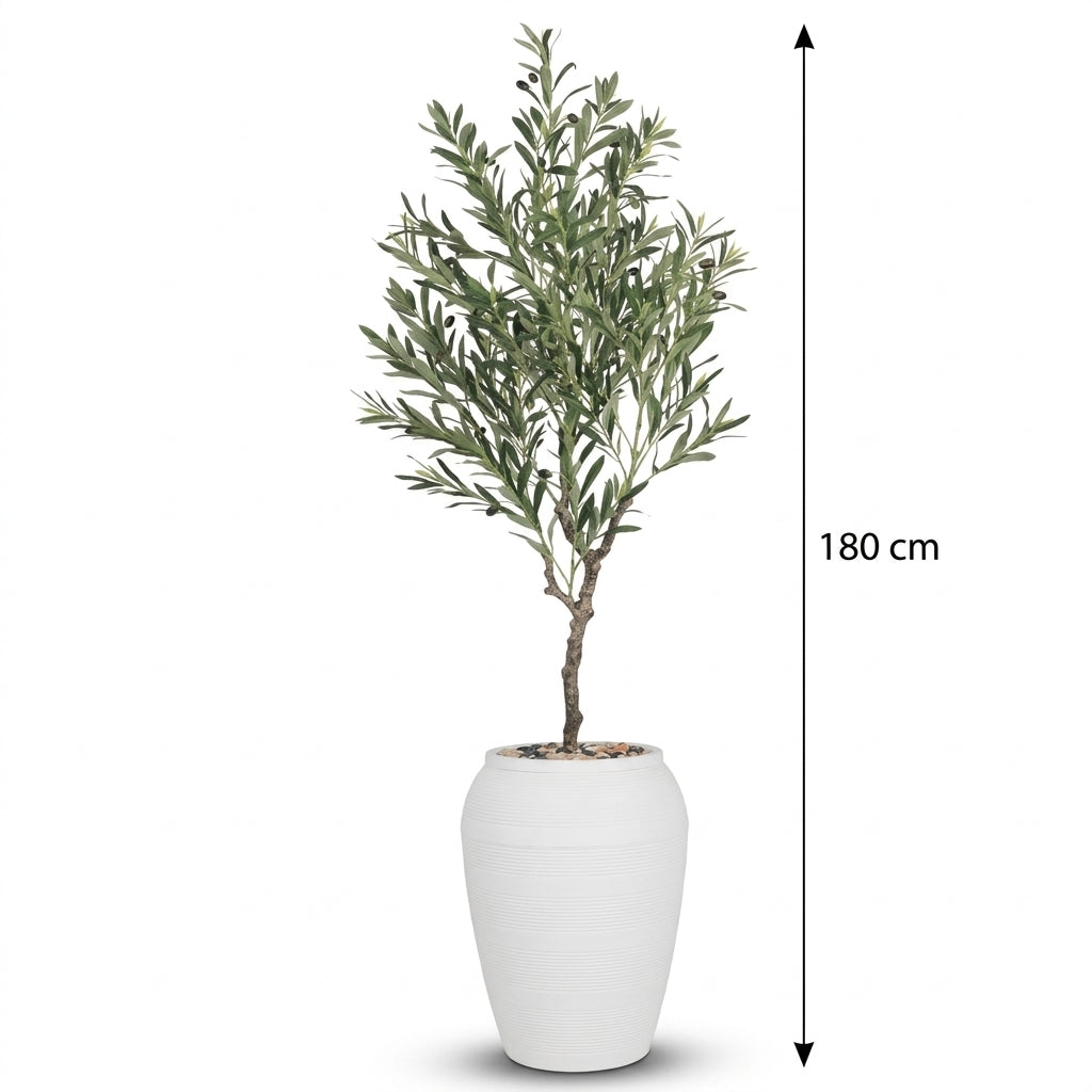 MSD-PLANT-7806-103-WHITE