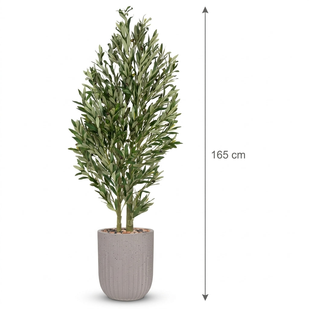 MSD-PLANT-7813-g2-1148-4-BEIGE