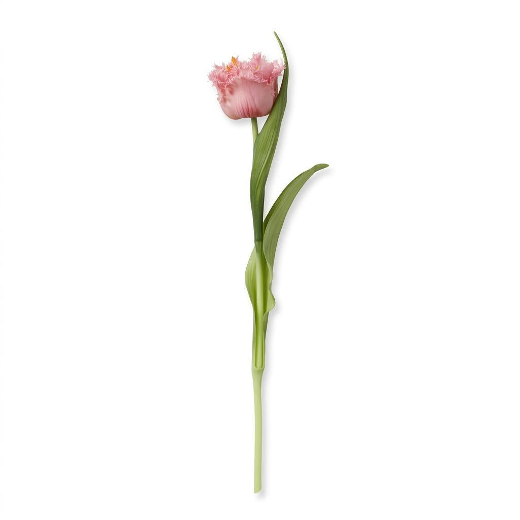 erpnext-original-source:https://erp.msquarebh.com/files/white_019.jpg
