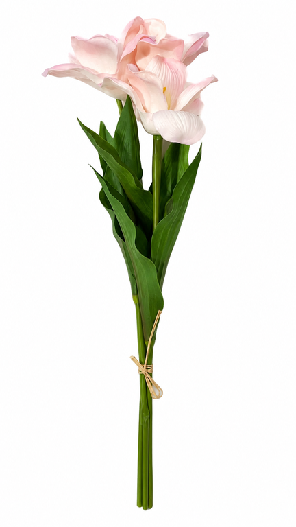 erpnext-original-source:https://erp.msquarebh.com/files/1762d0f5-8bec-463d-9a37-a15d099eb233.png