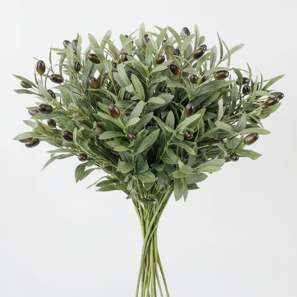 Olea Olive Stem