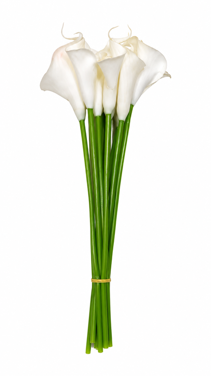 erpnext-original-source:https://erp.msquarebh.com/files/2d11b662-e04d-4786-8d79-bcab17a992d8.png