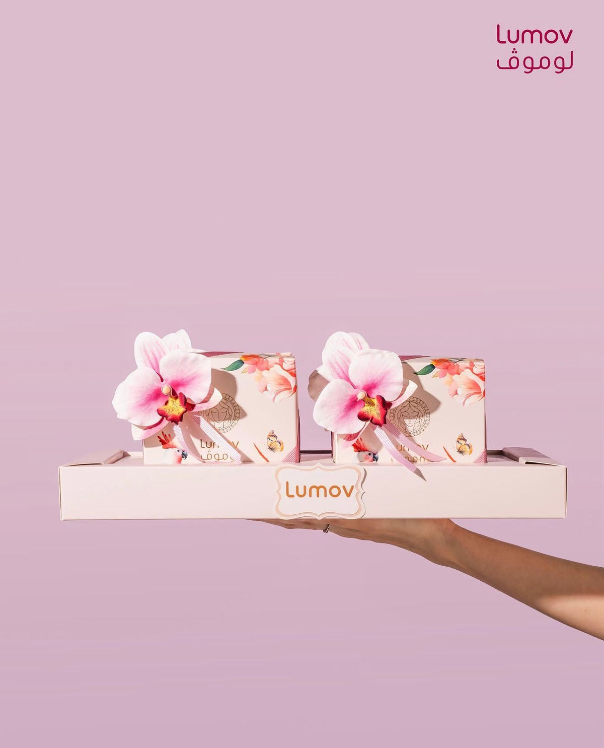 LUMOV-CHOCO-350013