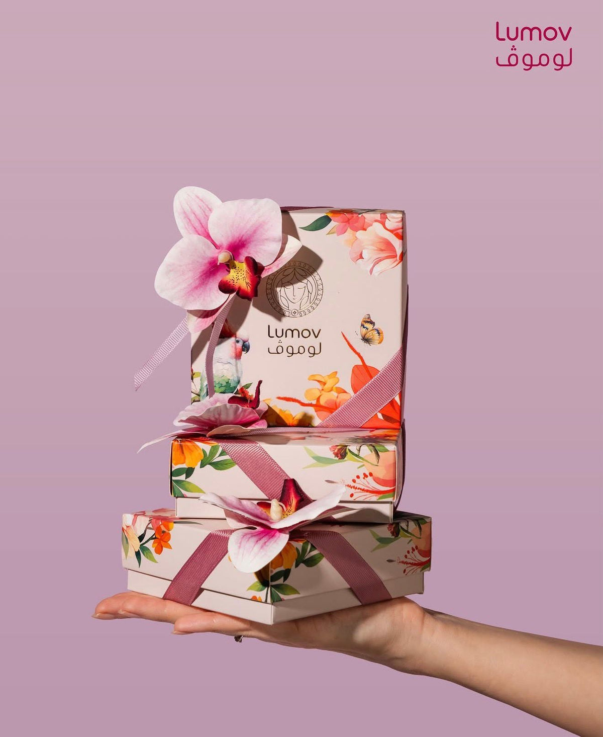 LUMOV-CHOCO-350013