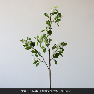 erpnext-original-source:https://www.erp.msquarebh.com/files/MSD-ACC-82224-DB0deee8.png