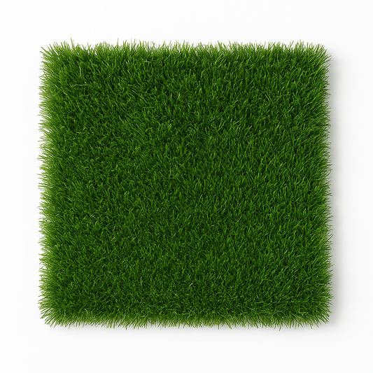MSD-ACC-GRASS-005