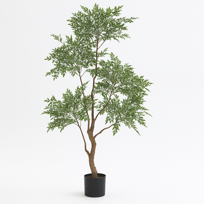 MSD-PLANT-0824-004