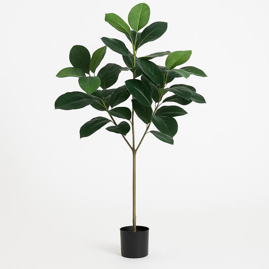 MSD-PLANT-0824-006