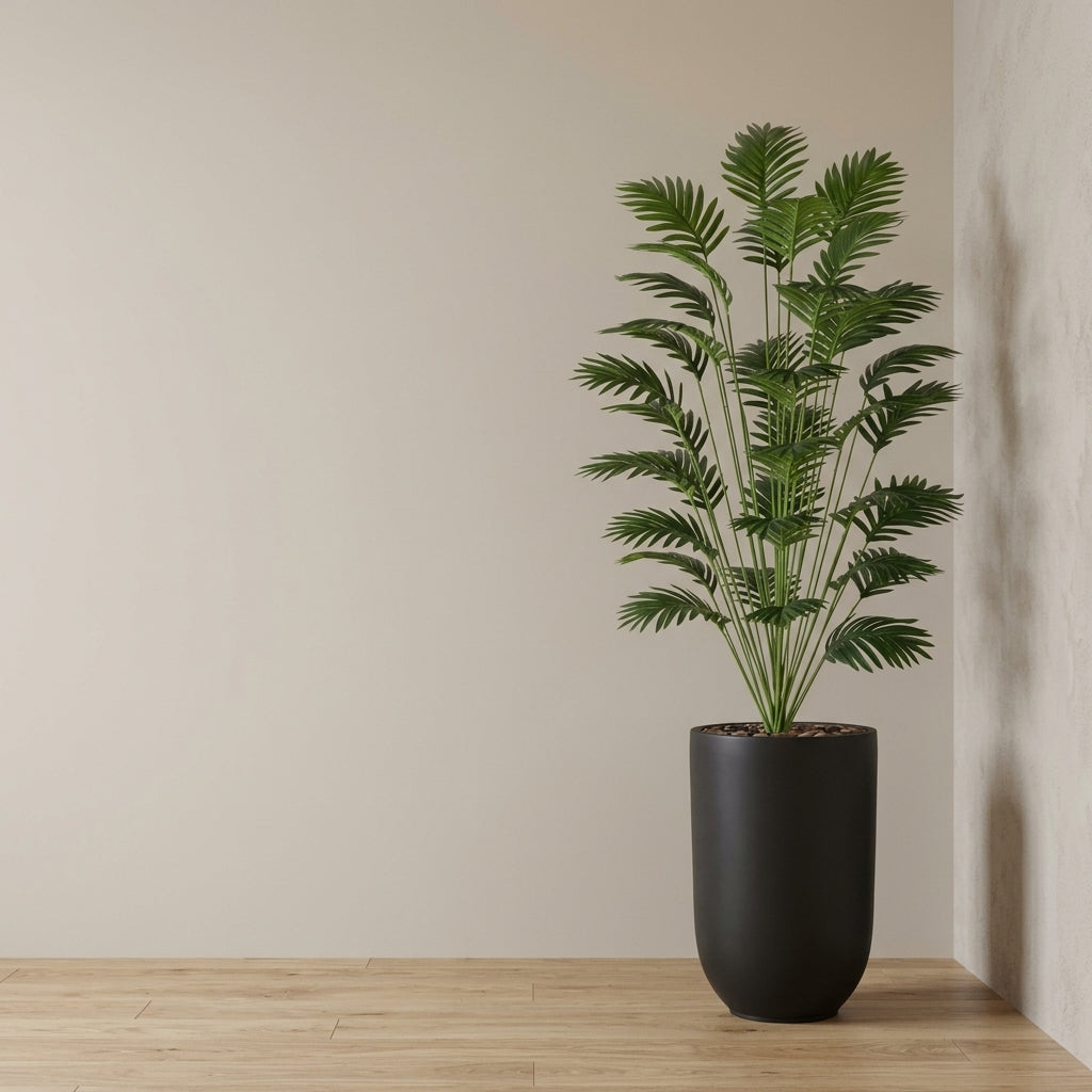 Palm Plant - Black Pot - 165 cm