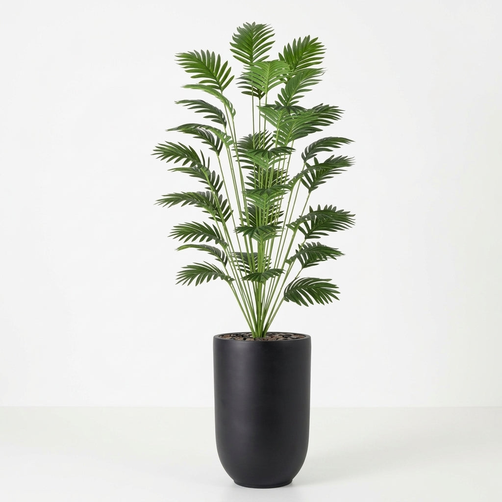 Palm Plant - Black Pot - 165 cm
