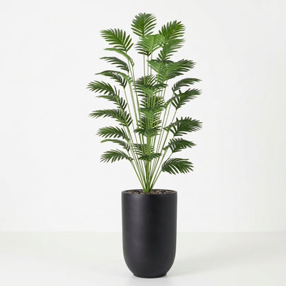 Palm Plant - Black Pot - 165 cm
