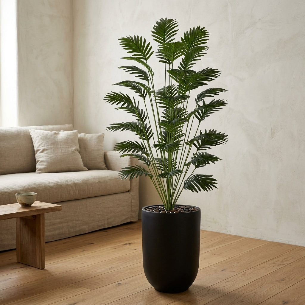 Palm Plant - Black Pot - 165 cm