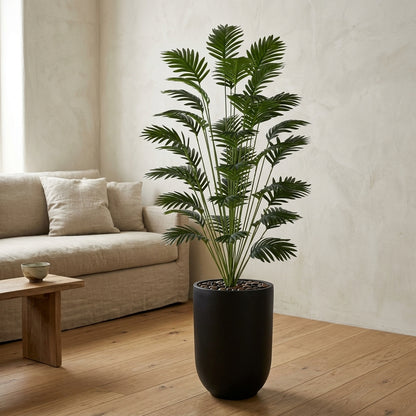 Palm Plant - Black Pot - 165 cm