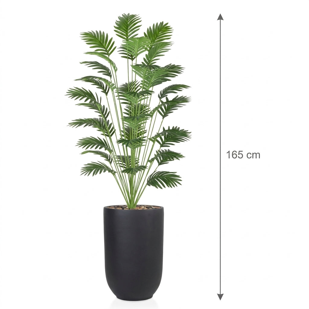 MSD-PLANT-1149-559-BLACK