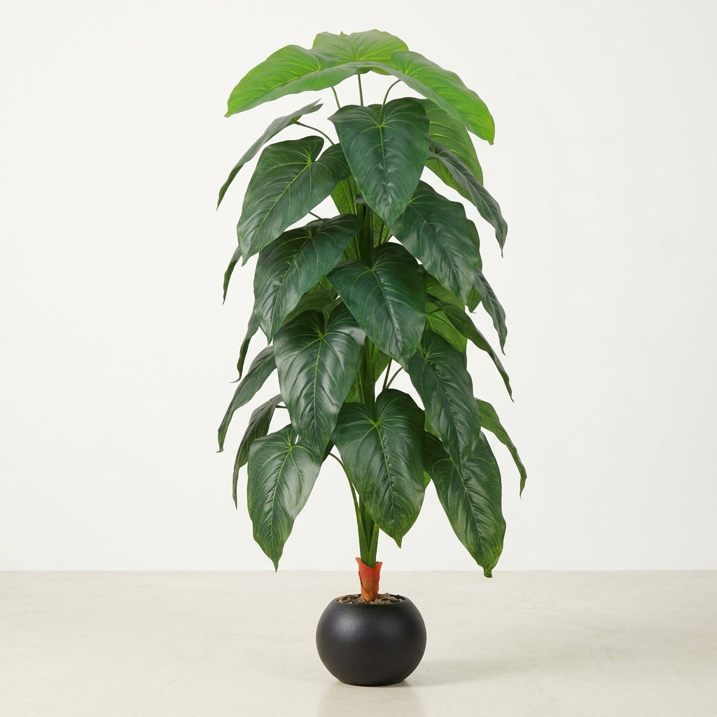 Fiddle Leaf Plant - Black Pot - 145 cm