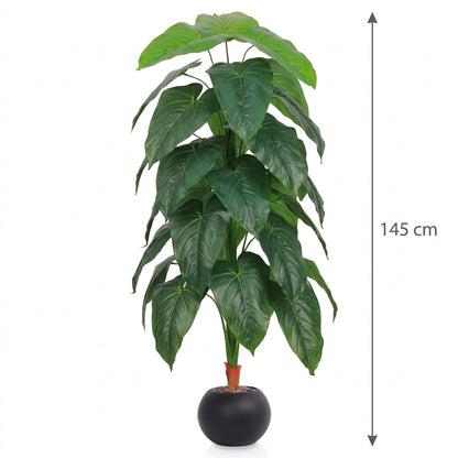 MSD-PLANT-3419-2-528-4-BLACK