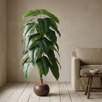 Fiddle Leaf Plant - Brown Pot - 145 cm