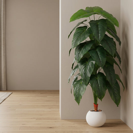 Fiddle Leaf Plant - White Pot - 145 cm