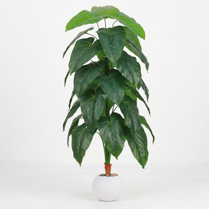 Fiddle Leaf Plant - White Pot - 145 cm