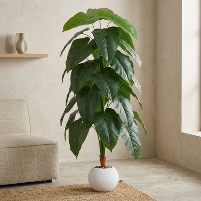 Fiddle Leaf Plant - White Pot - 145 cm