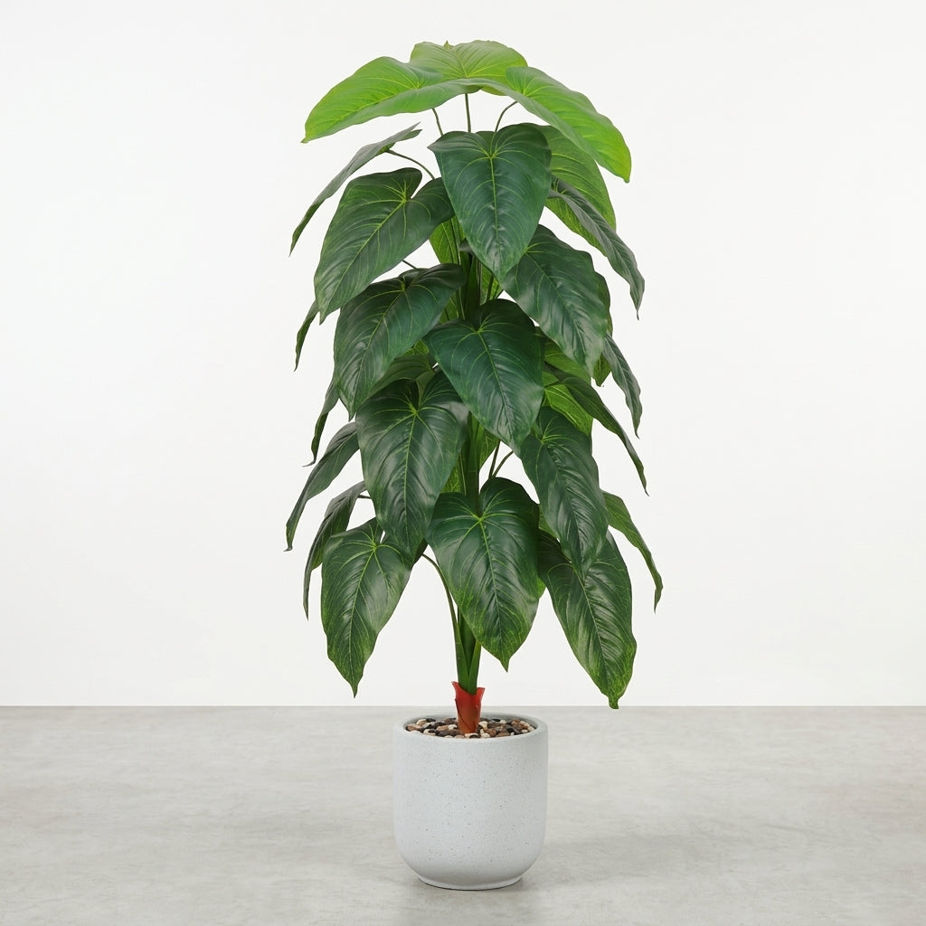 Fiddle Leaf Plant - White Pot - 155 cm