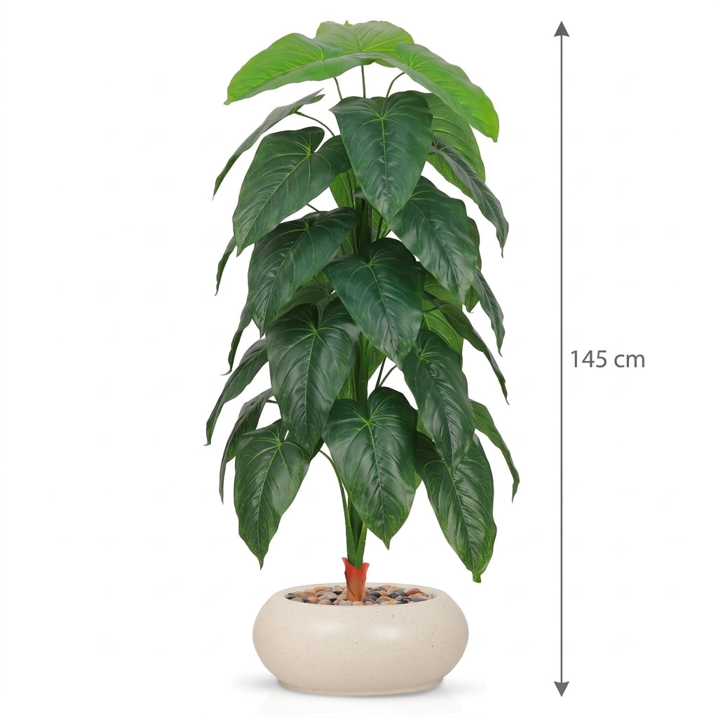 MSD-PLANT-3419-2-571-BEIGE