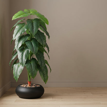 Fiddle Leaf Plant - Black Pot - 145 cm