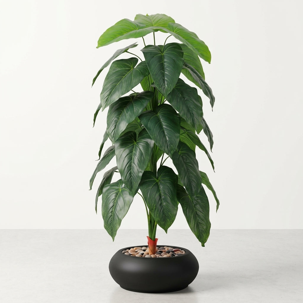 Fiddle Leaf Plant - Black Pot - 145 cm