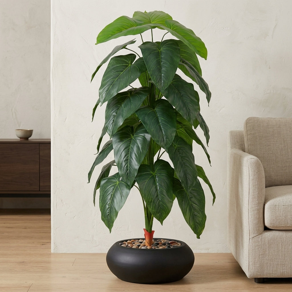 Fiddle Leaf Plant - Black Pot - 145 cm