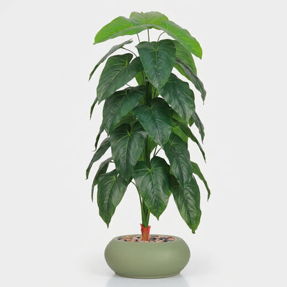 Fiddle Leaf Plant - Green Pot - 145 cm