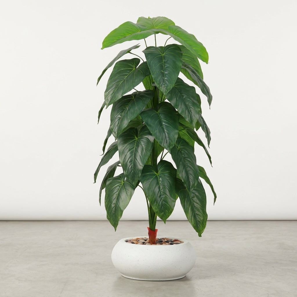 Fiddle Leaf Plant - White Pot - 145 cm