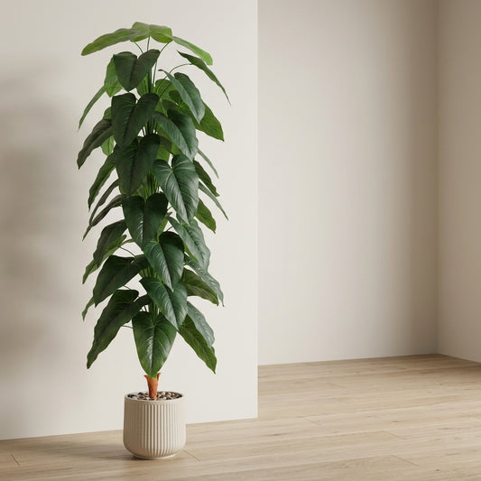 Fiddle Leaf Plant - Beige Pot - 180 cm
