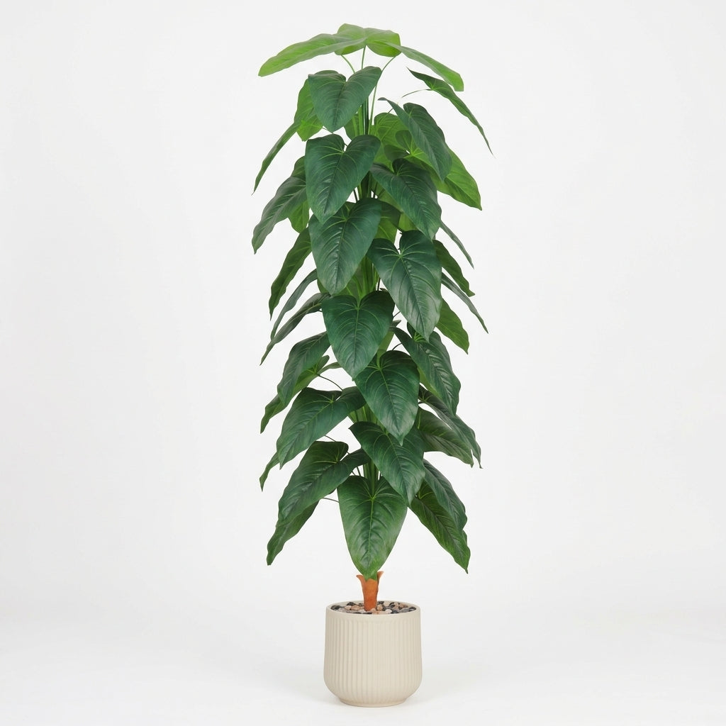 Fiddle Leaf Plant - Beige Pot - 180 cm