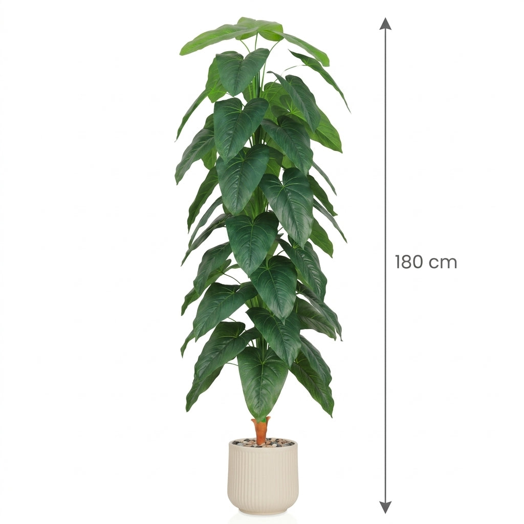 MSD-PLANT-3419-4-1167-BEIGE