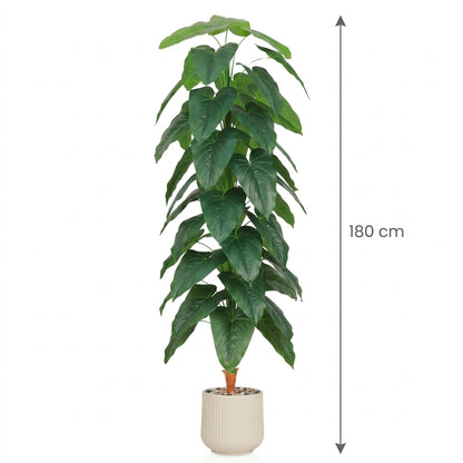 MSD-PLANT-3419-4-1167-BEIGE