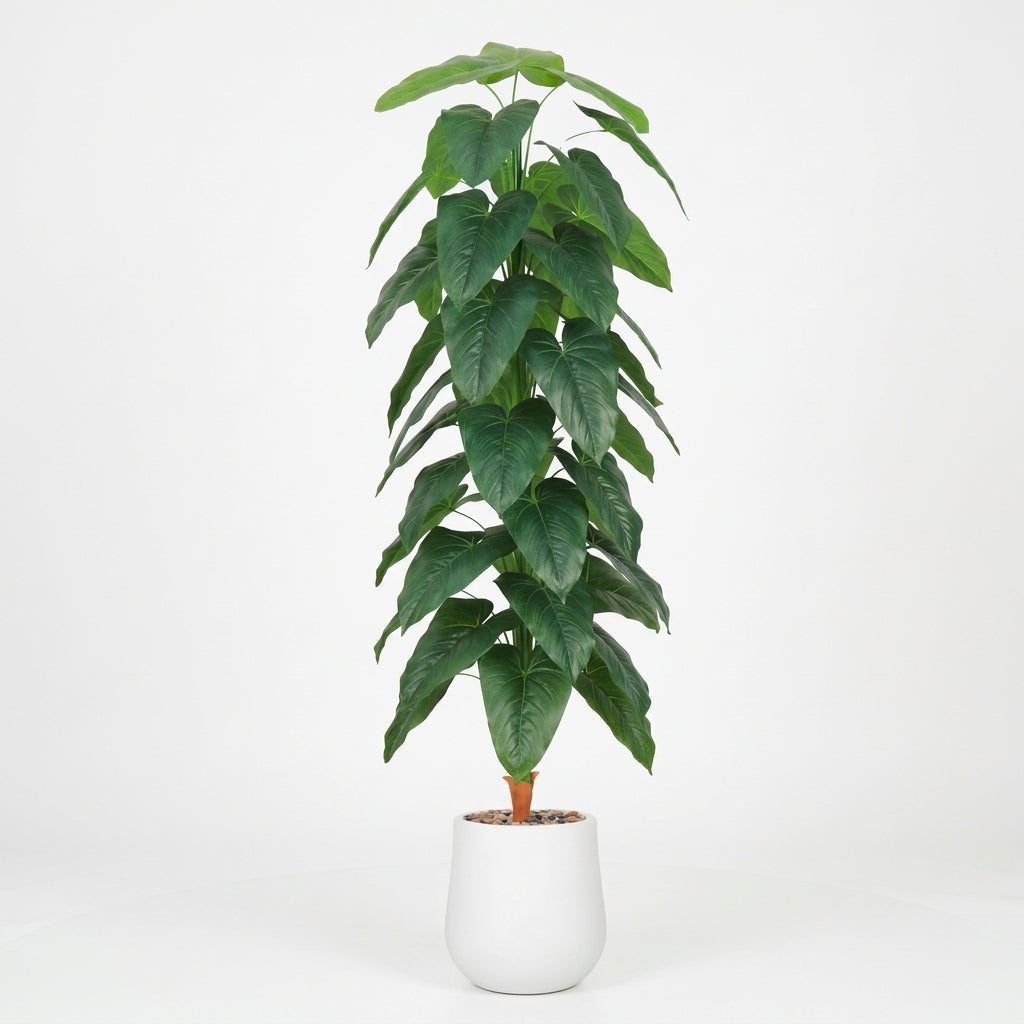 Fiddle Leaf Plant - White Pot - 190 cm