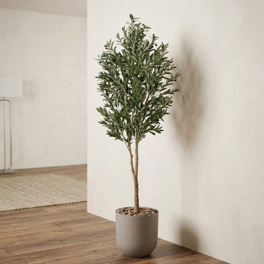 Olive Tree - Beige Pot - 210 cm