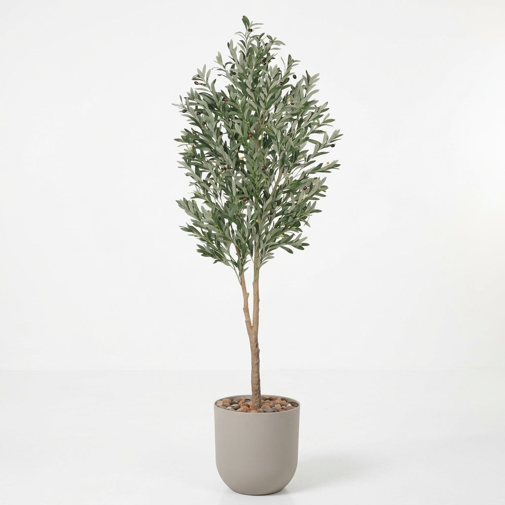 Olive Tree - Beige Pot - 210 cm
