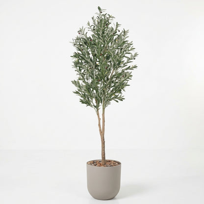 Olive Tree - Beige Pot - 210 cm