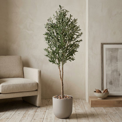 Olive Tree - Beige Pot - 210 cm