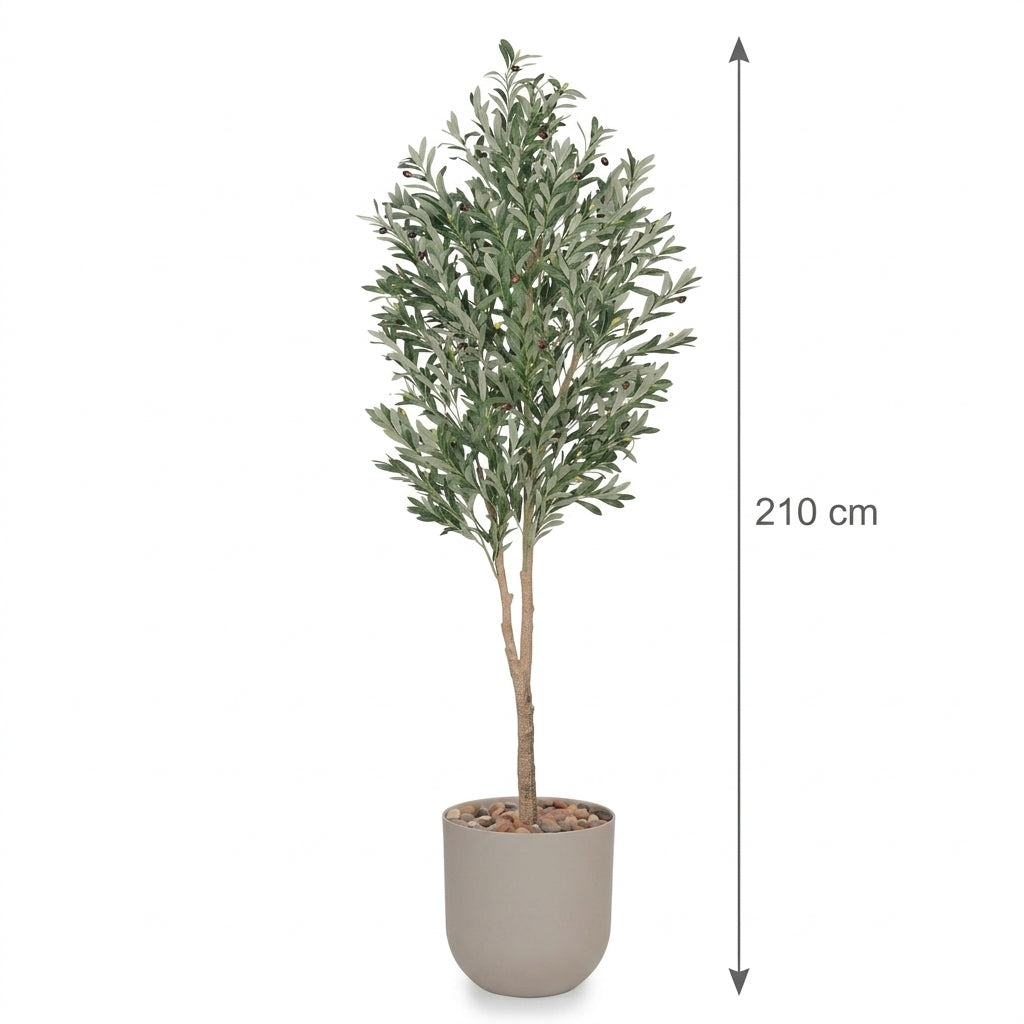 MSD-PLANT-3482-1178-BEIGE