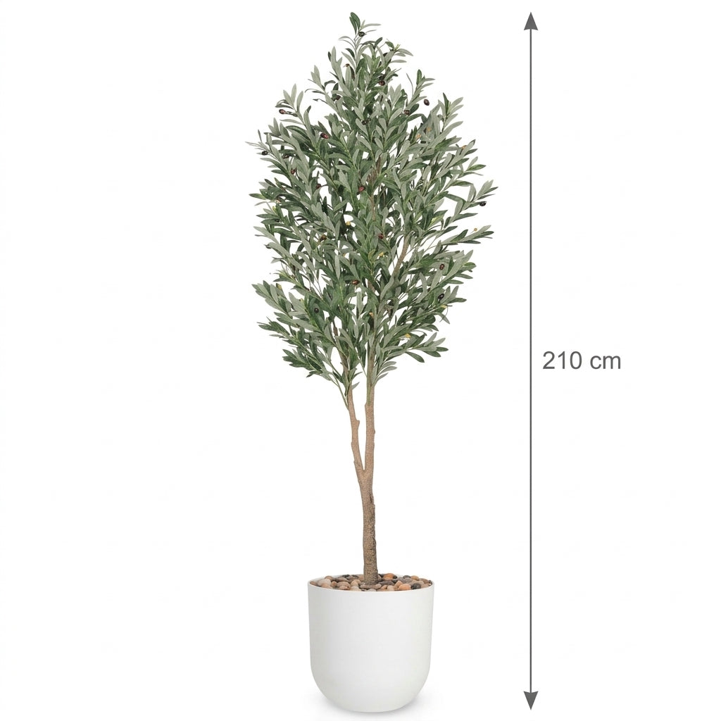 MSD-PLANT-3482-1178-WHITE