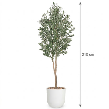 MSD-PLANT-3482-1178-WHITE