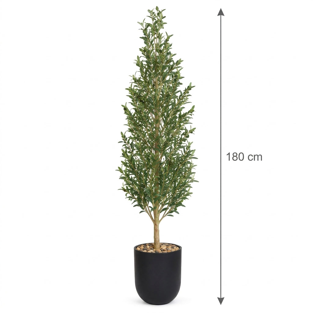 MSD-PLANT-706-170-1178-BLACK