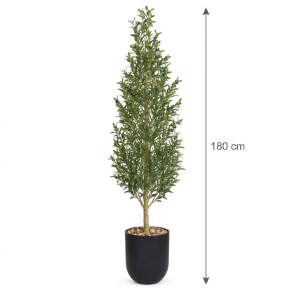MSD-PLANT-706-170-1178-BLACK